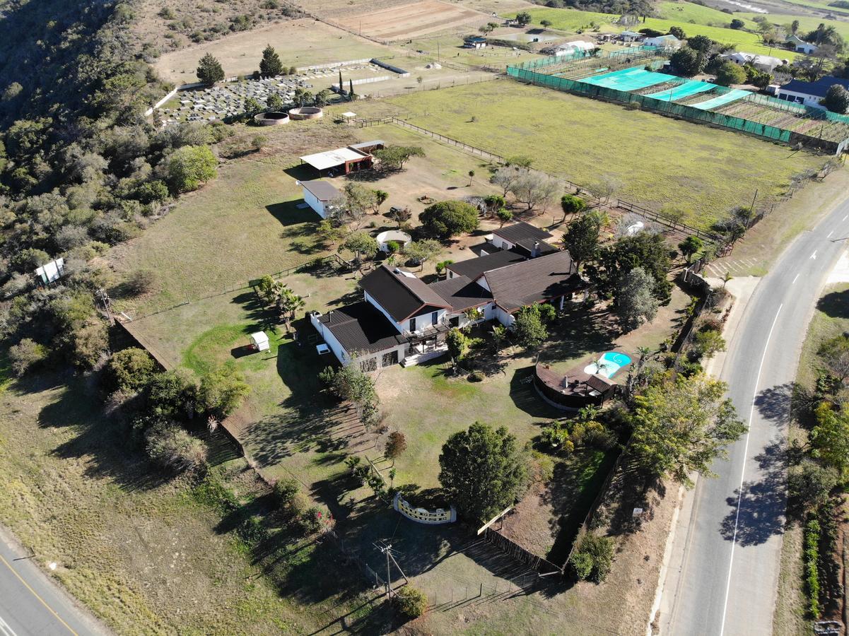 Cheetah Lodge Guest House Hartenbos Buitenkant foto