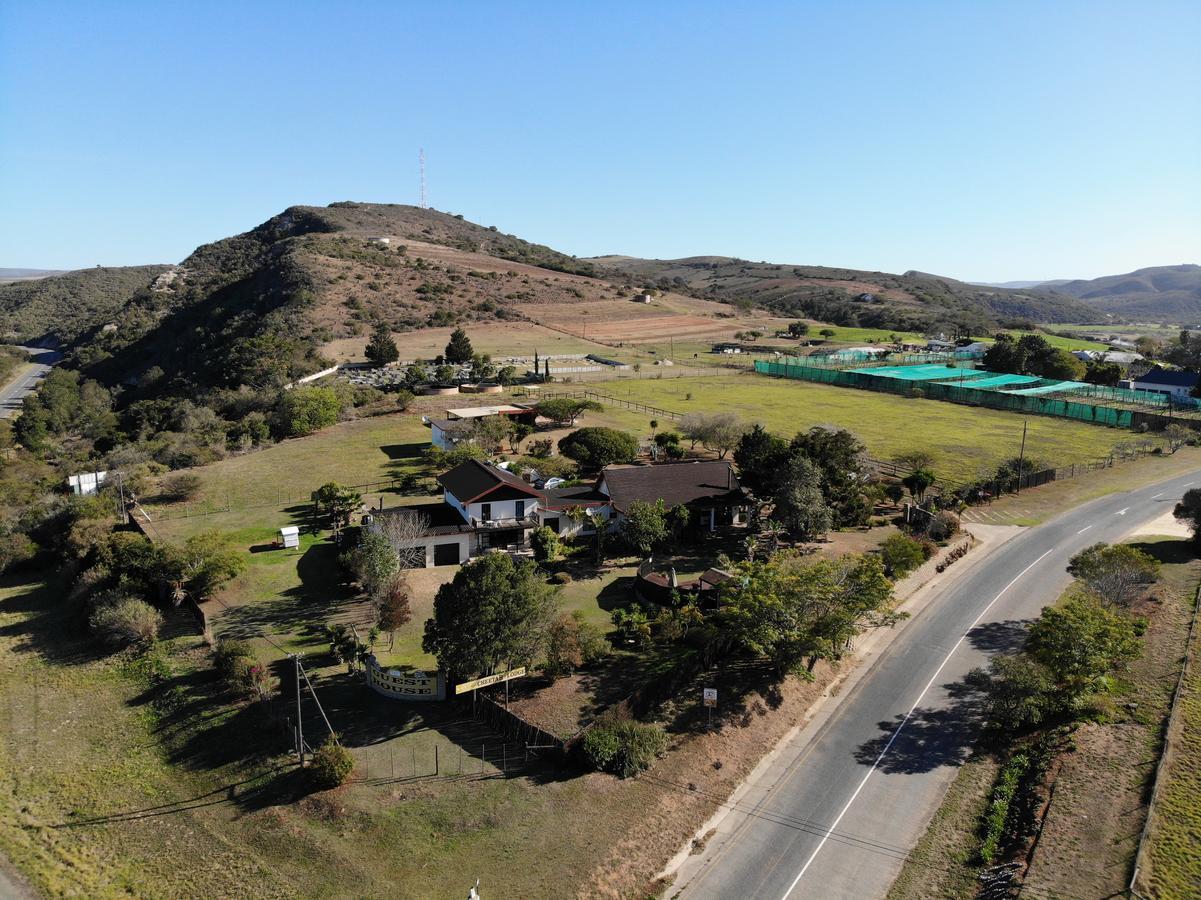 Cheetah Lodge Guest House Hartenbos Buitenkant foto